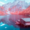 Adobe Lightroom Classic v10.0