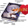 Hard Drive Inspector Professional 4.14 Build 165 + For Notebooks