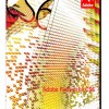 Adobe Fireworks CS6