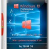 Windows 10 Pro x64 RS5 1809.17763.194 Dec2018 by TEAM OS