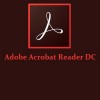 Adobe Acrobat Reader DC 2019.012.20040 RePack