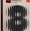 Adobe Animate CC and Mobile Device Packaging CC 2019 19.2.0.405 RePack