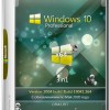 Windows 10 Pro 19041.264 3in1 OEM May 2020 by Generation2 (x64)