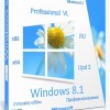 Microsoft Windows 8.1 Professional VL with Update 3 x86-x64 Ru by OVGorskiy 05.2018