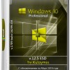 Windows 10 Pro x86/x64 1709.16299.334 by Kuloymin v.12.5 ESD