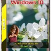 Windows 10 Enterprise 1903 G.M.A. v.18.08.19 (x64)