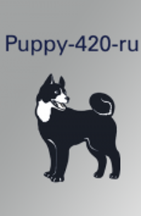 Puppy-420-ru 2.6.25.16-opera-v6 [i386] (1xCD)