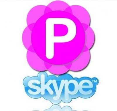 Pamela for Skype Basic 4.8.0.115