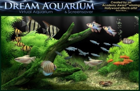 Dream Aquarium 1.27 Screensaver