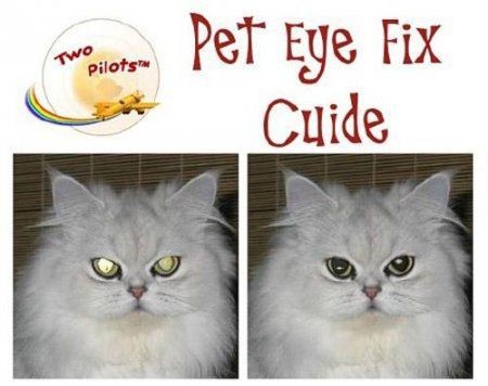 Pet Eye Fix Guide 2.2.5