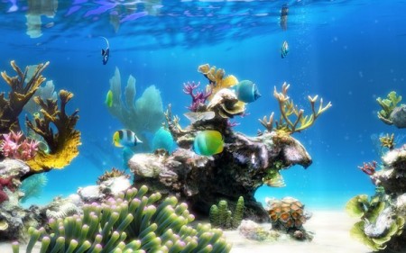 Sim Aquarium 3.8 Build 63 Platinum