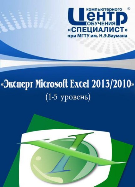 :  Microsoft Excel 2013/2010
