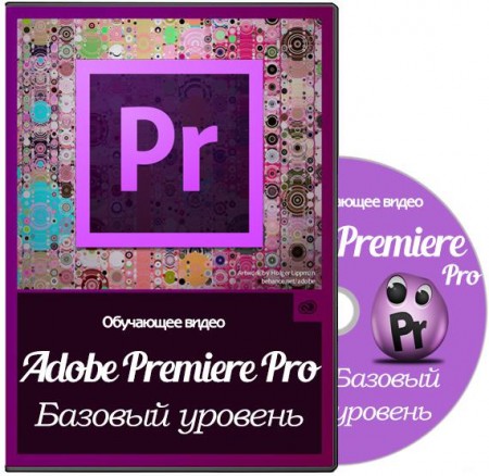 Adobe Premiere Pro.  