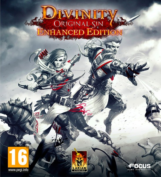 Divinity: Original Sin - Enhanced Edition (2015)