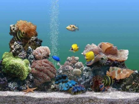 SereneScreen Marine Aquarium 3.2.5991